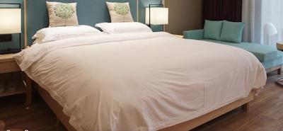 ART ZHENYUAN VACATION HOTEL