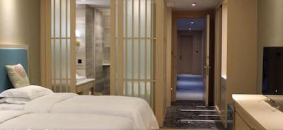 ART ZHENYUAN VACATION HOTEL