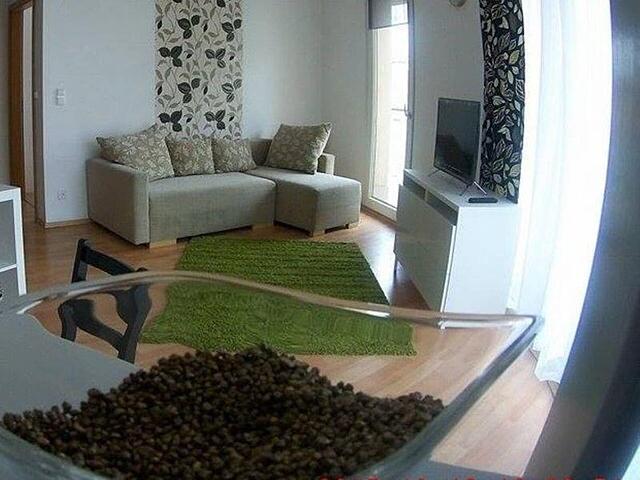 Corvina Apartments