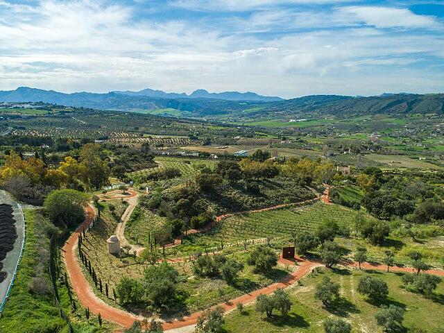 CORTIJO LA ORGANIC