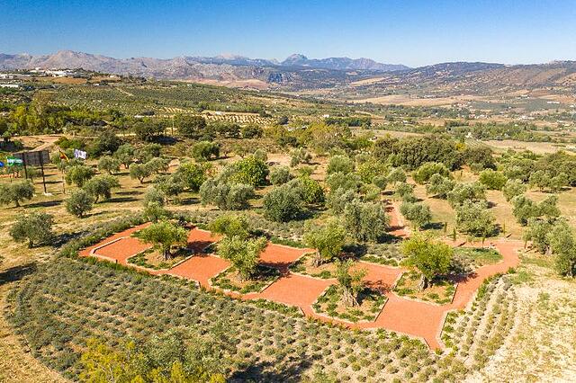 CORTIJO LA ORGANIC