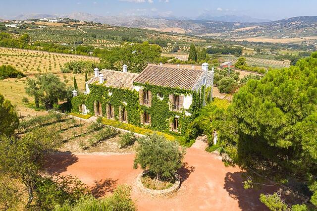 CORTIJO LA ORGANIC