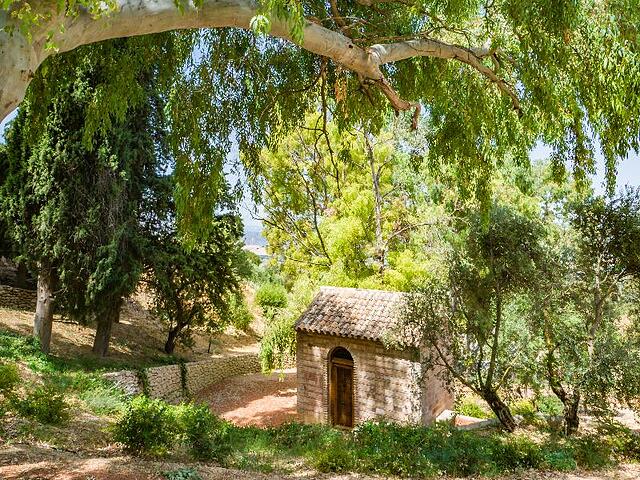 CORTIJO LA ORGANIC
