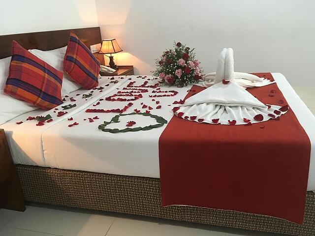 My City Hotel