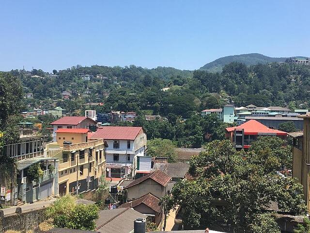 My City Hotel