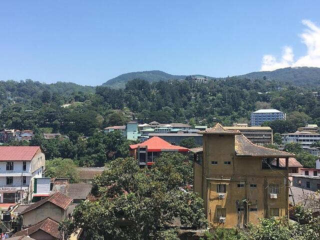 My City Hotel