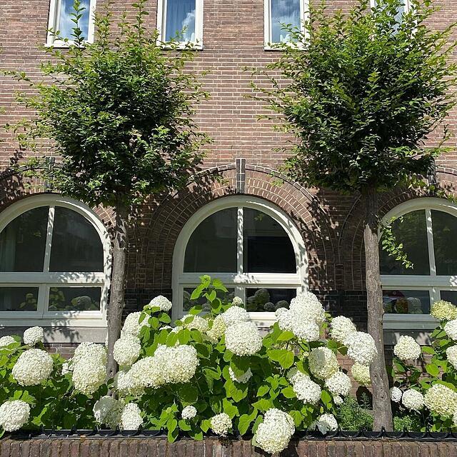 Kloosterhotel De Soete Moeder