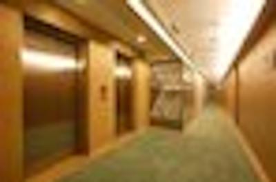 یگی اکزکیوتیو