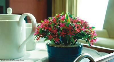 ساهارا استار