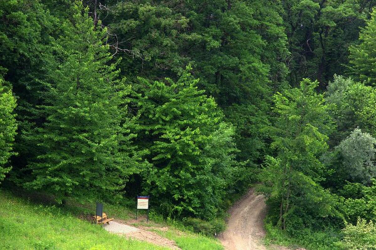 Hotel Diffuso Le Case dei Conti Mirafiore