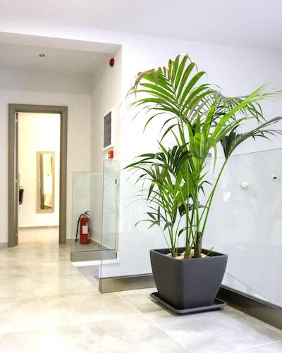 Pallada Athens Boutique Rooms Apartments