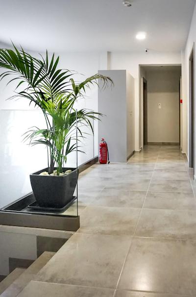 Pallada Athens Boutique Rooms Apartments