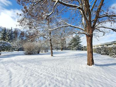 Hotel Zum Rittmeister