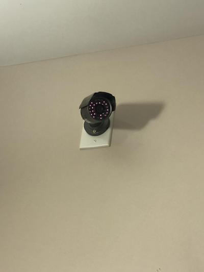 Nettys Nest Visitor Lodge