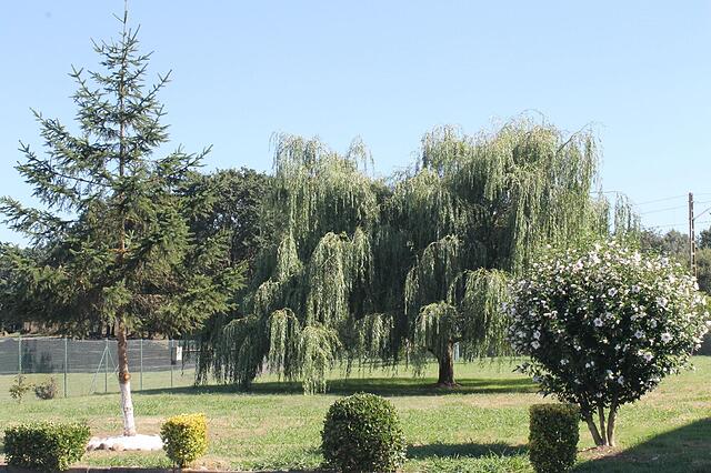 Hotel Reyes Astures
