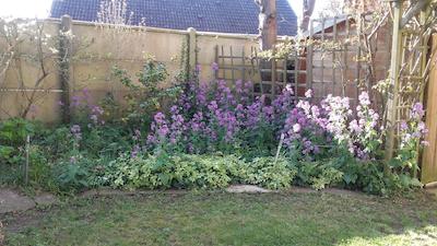 چمبر دو جاردین فلوری