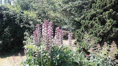 چمبر دو جاردین فلوری