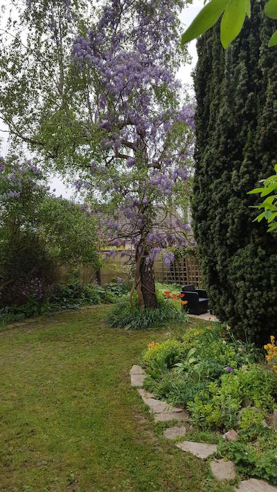 چمبر دو جاردین فلوری