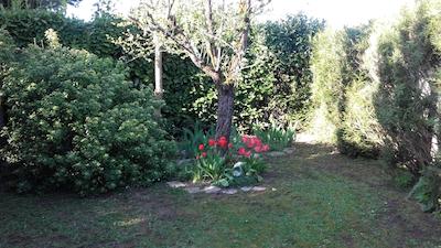 چمبر دو جاردین فلوری