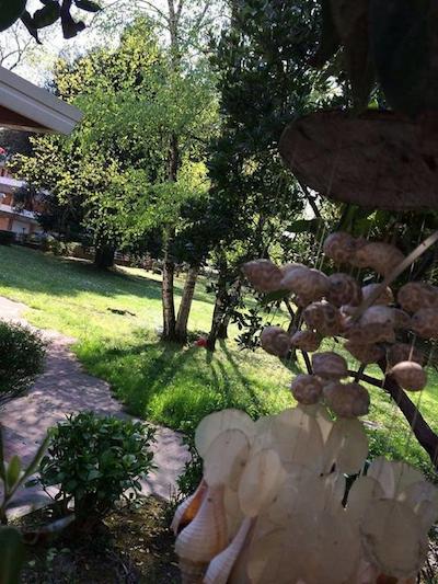 هتل بلا ونیزیا