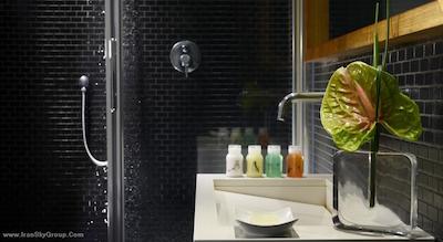 پولیتزر رما