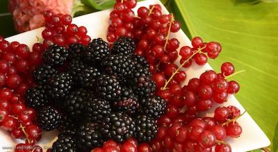 پولیتزر رما