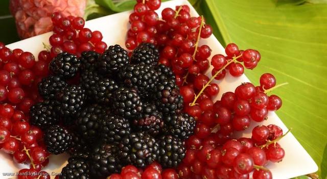 پولیتزر رما