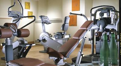 ویسکونتی پالاس