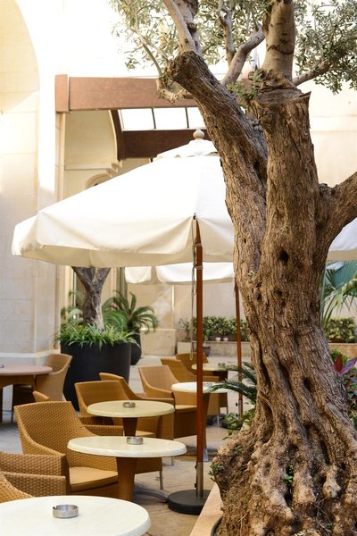 کورال سوئیتس الحمرا