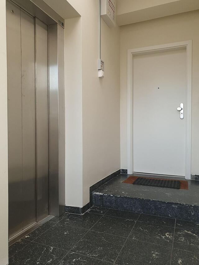 هاستل سیتی سا دی