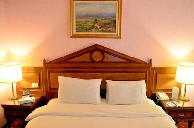 گلدن تولیپ سرنادا