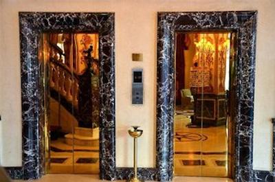 گلدن تولیپ سرنادا