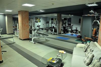 گلدن تولیپ سرنادا