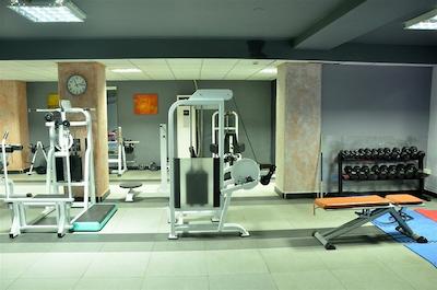 گلدن تولیپ سرنادا