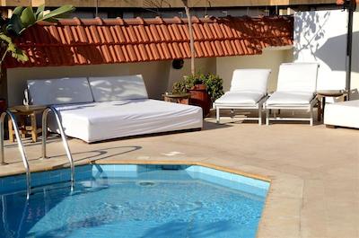 گلدن تولیپ سرنادا