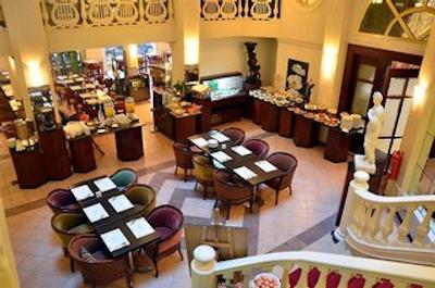 گلدن تولیپ سرنادا