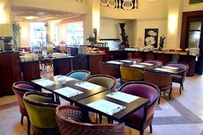 گلدن تولیپ سرنادا