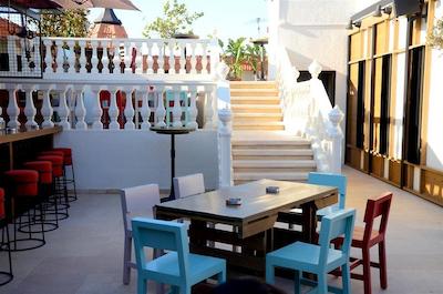 گلدن تولیپ سرنادا