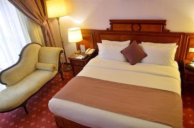 گلدن تولیپ سرنادا