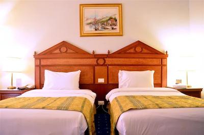 گلدن تولیپ سرنادا