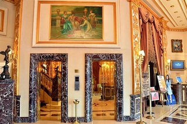 گلدن تولیپ سرنادا