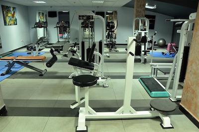 گلدن تولیپ سرنادا