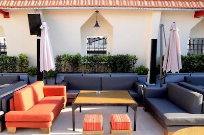 گلدن تولیپ سرنادا