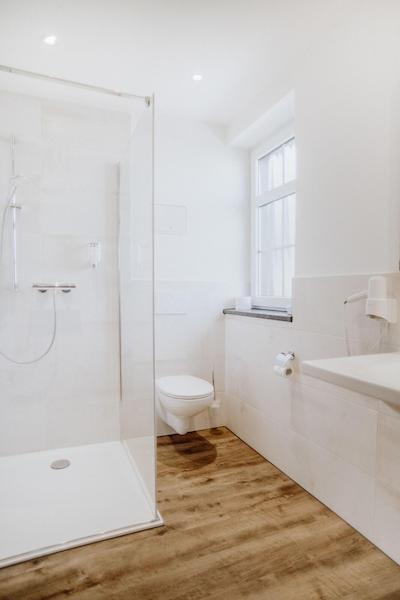 فرانستینر هاف