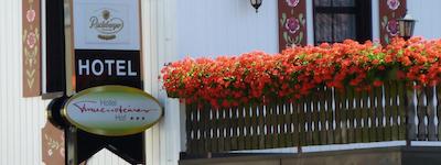 فرانستینر هاف