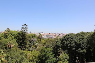 Botanic Views Guest House