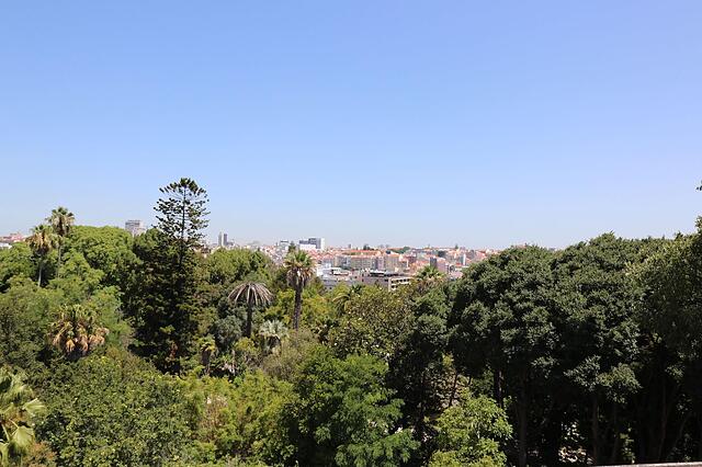 Botanic Views Guest House