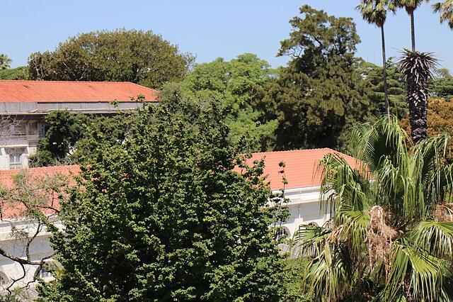Botanic Views Guest House