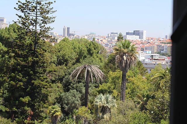 Botanic Views Guest House
