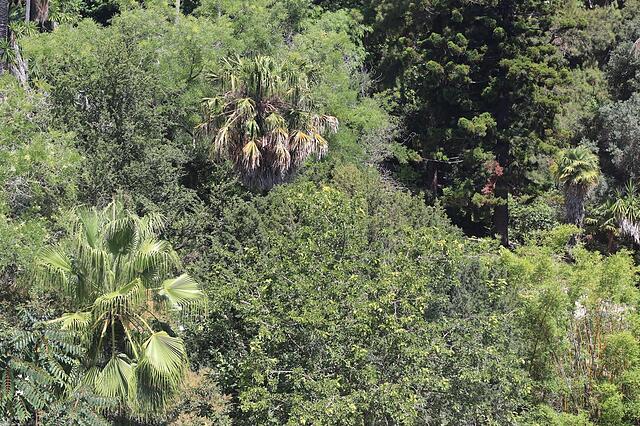 Botanic Views Guest House